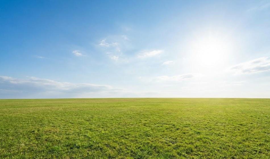 地盤改良で追加費用が発生するケースと注意点